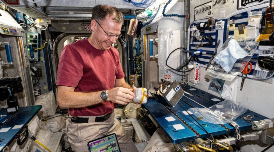 Arthrospira C was successfully installed on the ISS by NASA astronaut Nick Hague prior to beginning operations